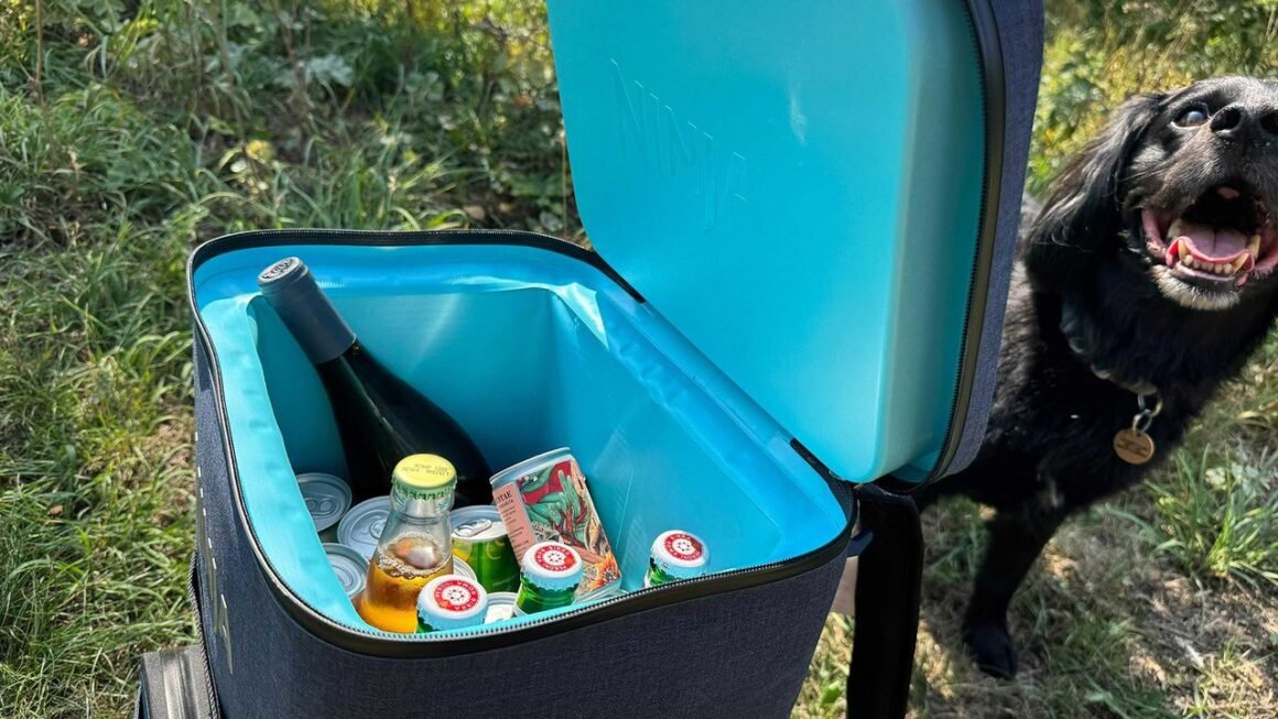 11 of the best coolers to keep your food and drinks chilled in the heat — recommended by a former outdoors editor