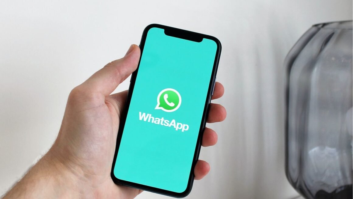 Meta’s AI Business Agent is a small and medium businesses guru – and it is now available directly through WhatsApp